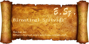 Birnstingl Szilvió névjegykártya